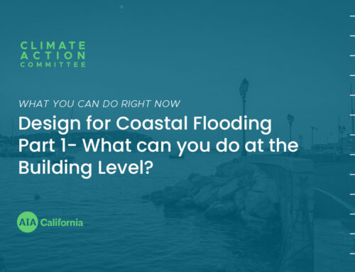 Design for Coastal Flooding Part 1- What Can You do at the Building Level?